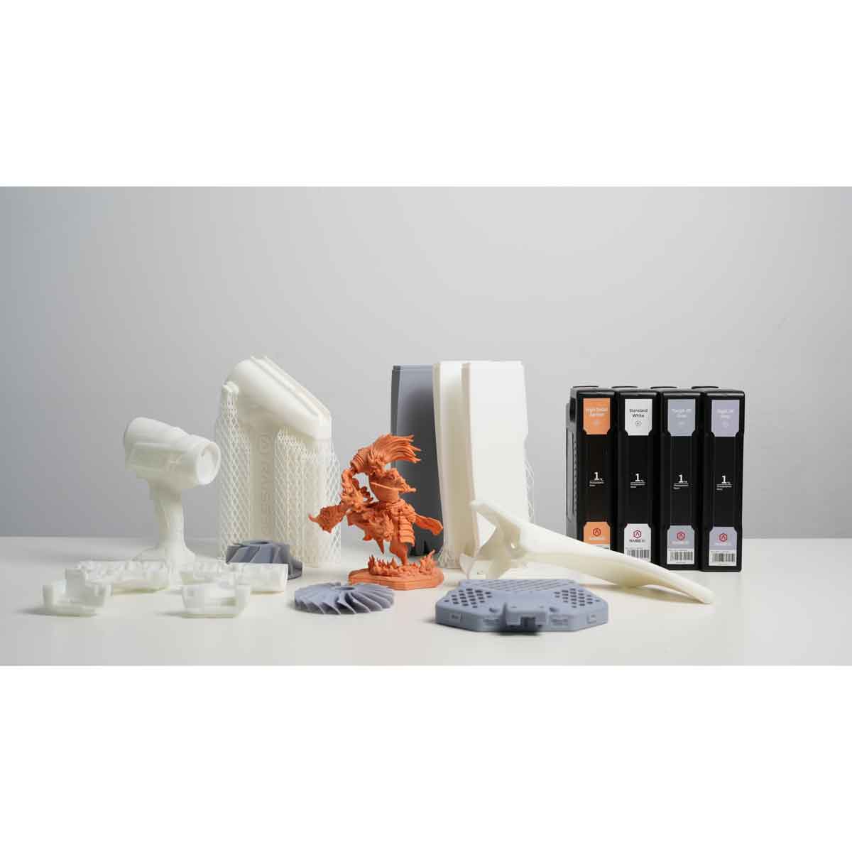 Raise3D DF2 - The Full Solution